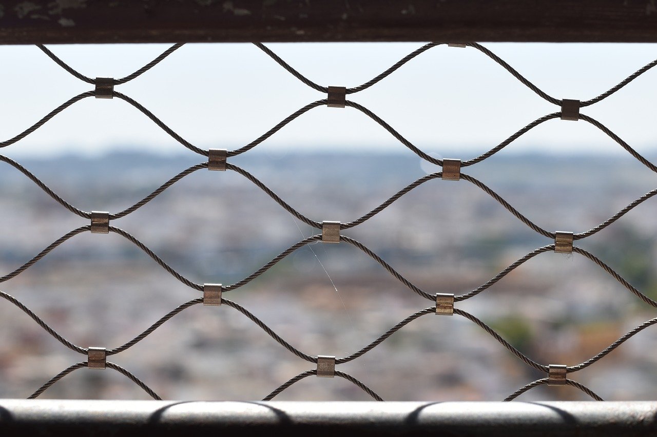 噩梦岛:草莓APP详情下载教程游戏软件