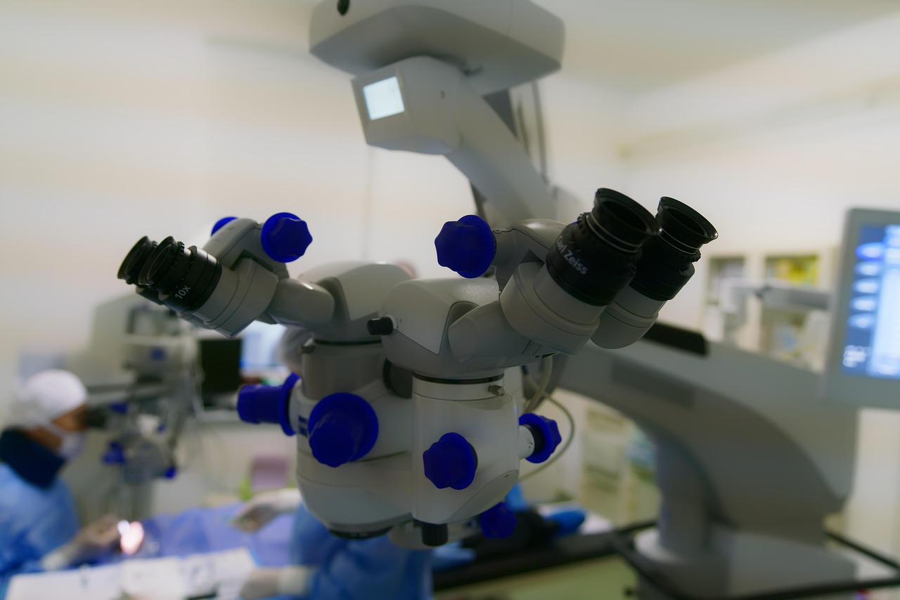 Mond梦都葡萄：东台烟花购买平台