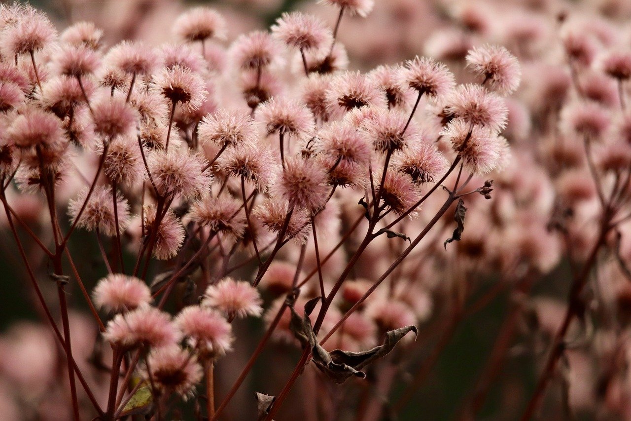 实名手机卡买卖:详情下载教程叮当app购药