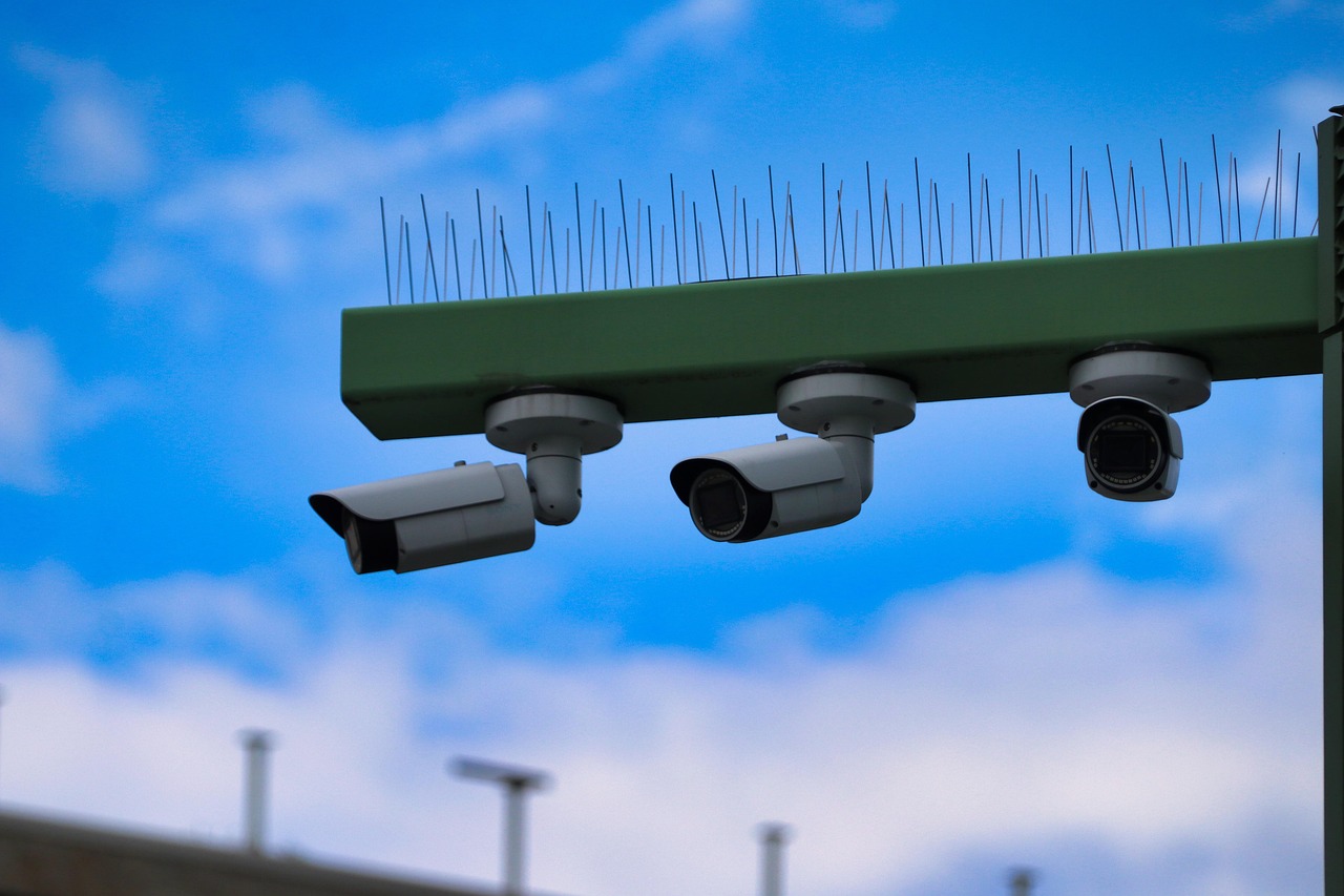 西部数码实名账号：详情下载教程共乐app安装到手机桌面