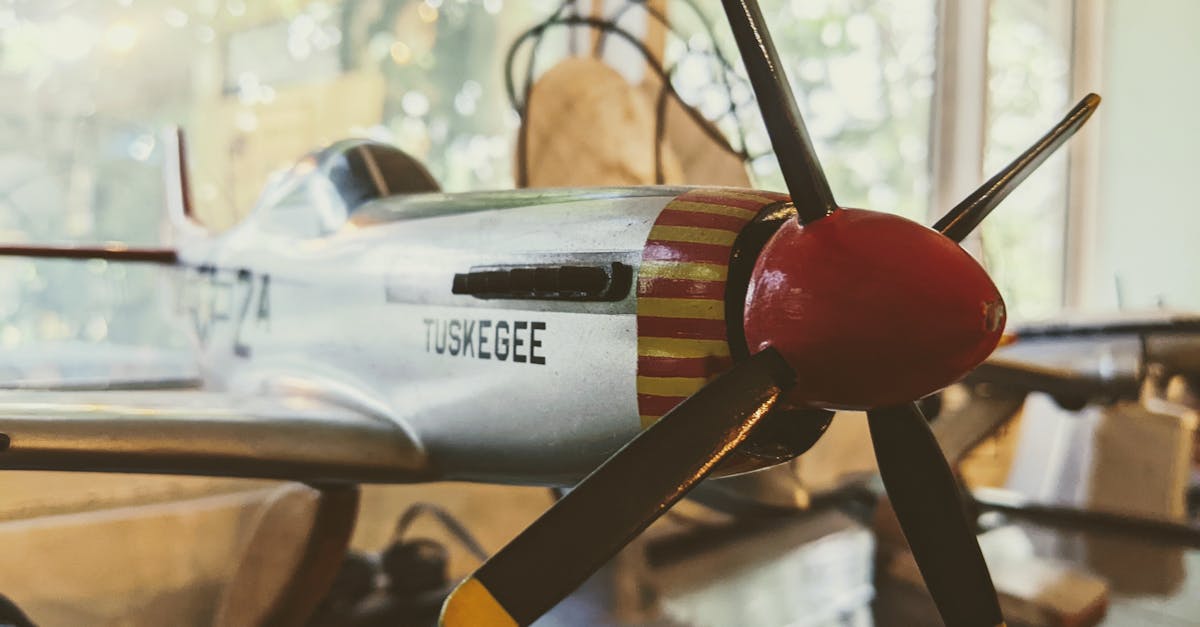 陌陌实名账号:烟台玩具购买平台